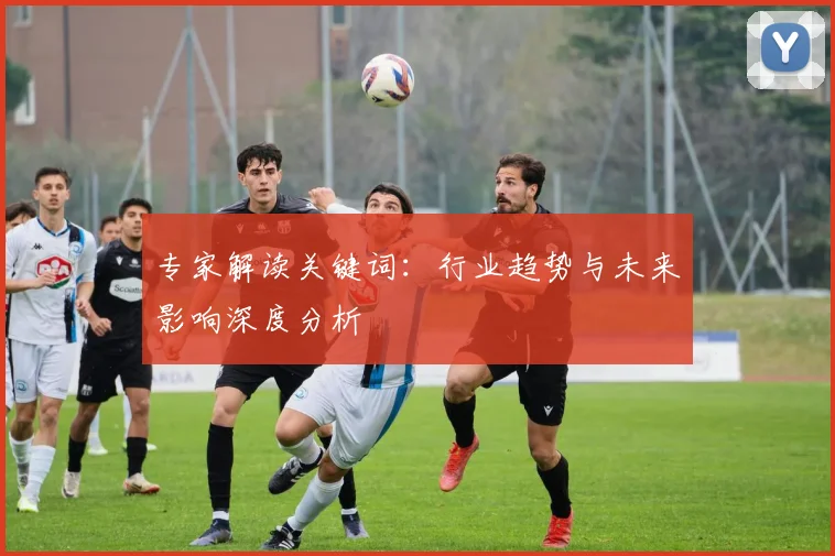 专家解读关键词：行业趋势与未来影响深度分析