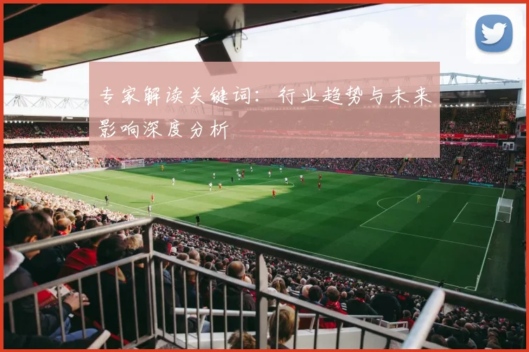 专家解读关键词：行业趋势与未来影响深度分析